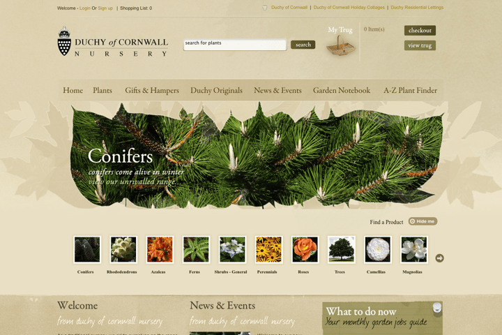 Duchy of Cornwall Nursery website preview